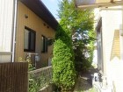 埼玉県上尾市庭木剪定工事　ナツツバキ剪定、シャラの木剪定