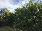 施工実績-埼玉の植木屋　造園　剪定 埼玉県所沢市庭木剪定工事　お庭のお手入れ