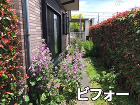 庭のリフォームの見積もり費用の目安 wp-content/uploads/sao20.jpg