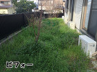 庭のリフォームの見積もり費用の目安 | ... wp-content/uploads/i_b1-1.jpg