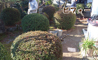 庭のリフォームの見積もり費用の目安 wp-content/uploads/t_bef2.jpg
