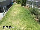 雑草対策でグランドカバーを使い、草引きを... wp-content/uploads/t_a-2-700x520.jpg