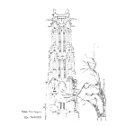 Gallery | 高松伸建築設計事務所 https://takamatsu.co.jp/wp-content/uploads/2024/07/de722120e85a05f820996a23f9405511.jpg