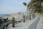 房総 4 (富浦町) 増田新