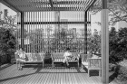 屋上天国 増田新 2