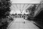 屋上天国 増田新 4