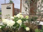 植栽管理について | 【グリーンテラス】... wp-content/uploads/2018/02/IMG_0520-e1518498260251.jpg