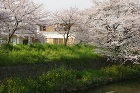 新築住宅 - 徳井正樹建築研究室