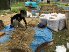 荒壁熟成土の一コマ。 | 野の草 設計室 wp/wp-content/uploads/2019/09/s-IMG_5426-e1567926102660.jpg