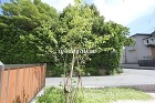 施工例　〜お庭とリビングを素敵に繋ぐ コ... /work/sekou/2011/nakamurakosai18.jpeg