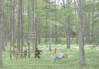 作品 | KAWANOJI一級建築士事務... https://www.kawanoji.com/_wp/wp-content/uploads/2017/02/morikitchen01.jpg