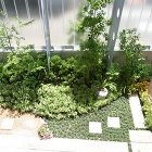 楽しい家12 - ガーデニングと家をつく... wordpress/wp-content/uploads/2018/10/IMG_1977-320x320.jpg