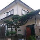 [ISS-ttl data_id=725... wd/wp-content/uploads/2017/09/DSC_1308-300x300.jpg