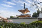 覚蔵寺 回向堂 | KAKUZOJI E...