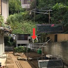 庭の整備・樹木伐採作業と枝幹の処分運搬作業前と作業後 庭の整備・樹木伐採作業と枝幹の処分運搬作業前と作業後