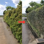 施工例・お客様の声｜【造園・植木・剪定】... 生垣の剪定作業前と作業後