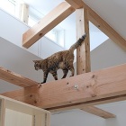 屋根を支える木材(梁)を二重にして束を挟み ねこさんの通り道を確保しています<br>2本の梁の間は上向きの間接照明と下向きの照明用ダクトのスペースに活かしています 屋根を支える木材(梁)を二重にして束を挟み ねこさんの通り道を確保しています<br>2本の梁の間は上向きの間接照明と下向きの照明用ダクトのスペースに活かしています