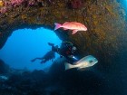 お知らせ・ブログ｜三重県で木や自然素材を... https://smooooth2-site-one.ssl-link.jp/studio_aia200731/uploads/seo/IMG_01101.JPG