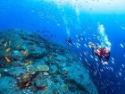 お知らせ・ブログ｜三重県で木や自然素材を... https://smooooth2-site-one.ssl-link.jp/studio_aia200731/uploads/seo/IMG_0109.JPG