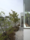 江本智子ウィメンズクリニック:柔らかい自...