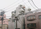 パビリオン・トウキョウが面白い!都内に現... Tree-ness-House