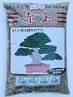 水切れに弱い植物を育てる管理法「腰水栽培...