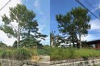 自然樹形の木々は素晴らしい/J邸（滋賀県... 自然樹形の木々は素晴らしい/J邸（滋賀県...