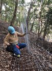 山と隣接するお庭の下準備?防獣フェンス設... wp-content/uploads/2018/11/1bouju-705x960.jpg