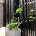建築家劇の舞台植栽/at THEATRE... wp-content/uploads/2018/12/1hachimigikara-120x120.jpg