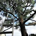 建築家劇の舞台植栽/at THEATRE...