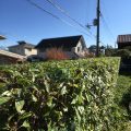 もりもりしたい庭（滋賀県大津市） wp-content/uploads/2016/11/1-120x120.jpg