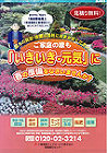 夏季カタログ