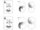 ダンプ+軌跡図 CADデータ(dwg)|... ダンプ+軌跡図