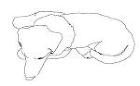 犬の平面図 | CAD-DATA.com 犬の平面図