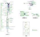 高圧引込装柱図No.3-A | CAD-... 高圧引込装柱図No.3-A