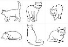 猫　PART-1