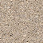 サンドエレガンテIN ELI-504