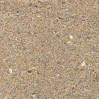 サンドエレガンテIN ELI-509