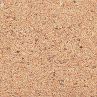 サンドエレガンテIN ELI-514