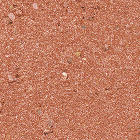 サンドエレガンテIN ELI-517