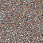 サンドエレガンテIN ELI-521