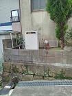ガス給湯器（交換前）