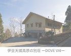 WORKS /ghi/_src/1713/dove8.jpg
