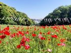 ゴールデン・ウィーク休業のお知らせのイメージ