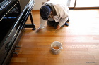 キャスター跡補修 キャスター跡補修