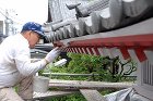 巣鴨の赤門 [施工事例] | 安田塗装 エポキシ樹脂下塗り材