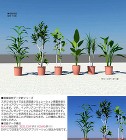 今週の作品