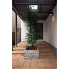 フロントデッキと玄関アプローチの素敵な家 フロントデッキ下の玄関