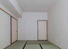 写真：
