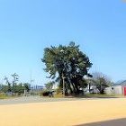 中古住宅再生に関する記事一覧 | 株式会...